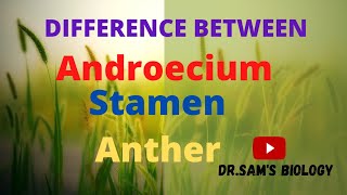 Difference between Androecium, Stamen and Anther of Flower