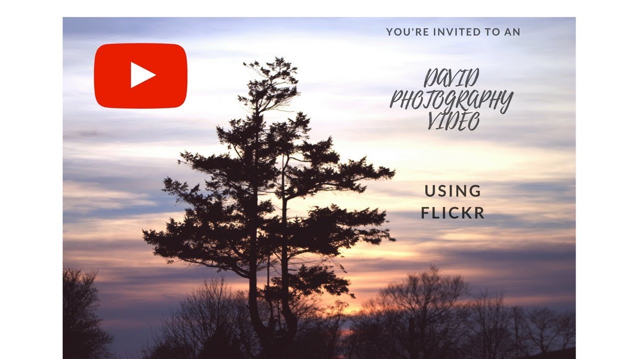 Flickr Youtube