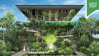 Step inside the Singapore Pavilion at Expo 2020