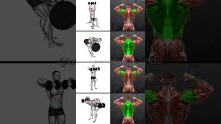 Shoulder _ back muscle gym workout # 4 tips # trending short vedio # viral