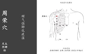 人体穴位096：周荣：顺气强肺化痰湿，用艾条温和灸周荣穴5～10分钟，1天1次，可改善咳嗽、胸胁胀痛 20211124.mp4