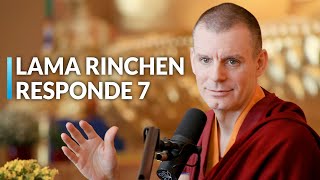 El Nido del Meditador | Sesión de Preguntas y Respuestas (7)