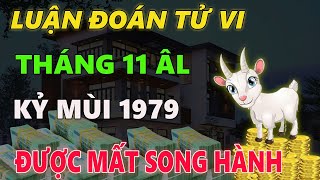 Tử vi Kỷ MÙI 1979 tháng 11 âm lịch: VẬN KHÍ LÊN XUỐNG RẤT BẤT ỔN, ĐƯỢC NHIỀU NHƯNG MẤT KHÔNG ÍT.