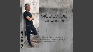 Pieza en cuatro (para piano) - IV