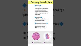 Anatomy Introduction #bmlt #youtubeshorts #anatomy #shorts #shprtvideo