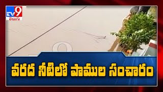 Heavy Rains lash in Hyderabad :  snakes in  Flooding - TV9