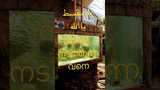 #93 നമ്മൾ വെറും കാഴ്ചക്കാരോ ,അതോ കാഴ്ചകൾക്കപ്പുറത്തെ ലോകം ആസ്വദിക്കുന്നവരോ ..?