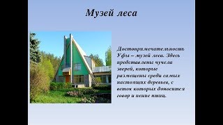 МУЗЕЙ ЛЕСА г Уфа. Обзор Музеев Уфы. ДИКИЕ ЖИВОТНЫЕ