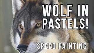 Drawing a Wolf in Pastels - Speed Painting Wildlife Art Demo