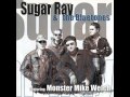 SUGAR RAY & THE BLUETONES featuring MONSTER MIKE WELCH - Tell Me Whats Going On