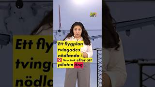 Flyg tvingades nödlanda – pilot dog