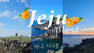 제주도 여행 VLOG 1탄 서귀포 완벽정리ㅣ 카멜리아힐ㅣ대포주상절리ㅣ외돌개ㅣ쇠소깍ㅣ큰엉해안경승지ㅣ다양한 폭포(천제연, 천지연, 정방폭포)