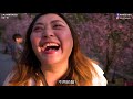 三峽大熊櫻花林夕陽西下時太震搣了 整座山都是櫻花林 cherry blossoms in taiwan 三峽賞櫻 三峽櫻花空拍 新北櫻花秘境 x 冷娃一隊 三峽花季 新北花季