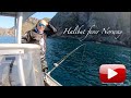 Halibut Fishing Norway. Whit Nordic Sea Angling.