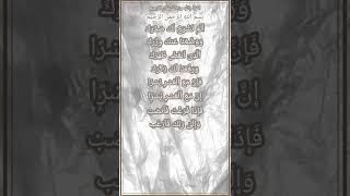 Surah Ash-Sharh(Alam Nashra)/Surah Al-Inshirah/Quran Recitation by 10 y/o/Translation in Comment box