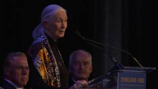 2017 HONORS: Gala - Highlights