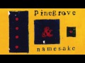 pinegrove namesake