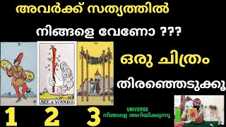 നിങ്ങളുടെ വ്യക്തിക്ക് നിങ്ങളെ സത്യത്തിൽ വേണോ? അതോ പറ്റിക്കുന്നതോ? Malayalam Tarot