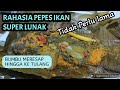 Pepes Ikan Nila,cara membuat pepes ikan lunak nya hingga tulang belulang. Gak perlu lama.