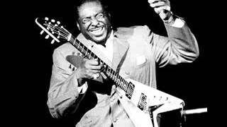 Albert King - The Hunter