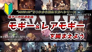 【MHWIB:2024】レア環境生物『モギー』＆『レアモギー』を捕まえよう！『導きの地』関連動画【モンハンワールド アイスボーン/MHWI】