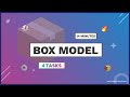 Understand CSS Box Model in 14 minutes with 4 tasks | CSS Tutorial