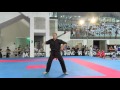 Claudiu Popa Weapons Hard Style Bestfighter 2017