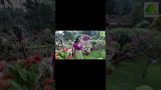 Viral Garden Kerala ലീലാമ്മ ആന്റിയുടെ വൈറൽ ഗാർഡൻ, ഫുൾ വീഡിയോ ലിങ്ക് കമന്റിൽ