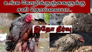 சிறிய கோழி குஞ்சுகளுக்கான சளி தீர்வு..home remedies for small chicks...