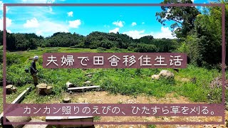 【夫婦で田舎移住生活】カンカン照りのえびの、ひたすら草を刈る。| 草刈り | 裏山整備 | 山開拓 | 庭メシ | 焚き火 | 田舎暮らしDIY | 空き家セルフリノベーション | 宮崎 | えびの