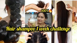 hair shampoo 1 week challenge| హెయిర్ షాంపూ 1 వారం ఛాలెంజ్ #haircare #shampoo #trending