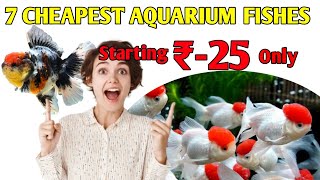 7 Cheapest Aquarium Fishes / ഏറ്റവും വിലകുറഞ്ഞ അടിപൊളി 7 മീനുകൾ / MATHANS IDEAS