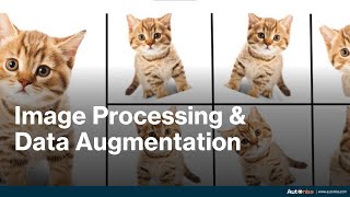 Image Processing using Numpy