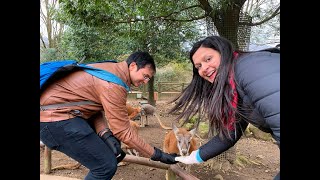 💁Going to Japan Open Animal Park at Fuji Safari Park Japan | 富士サファリパーク