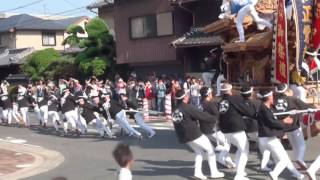 平成28年　旭神社祭礼　加美正覚寺　試験曳き（だんじり・平野区）