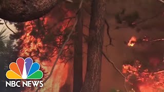 Firefighters Struggle To Contain Bobcat Fire In Southern California | NBC News NOW