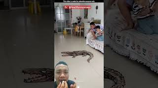 BUAYA ASLI APA BUAYA GADUNGAN @tna3funnyvideo #animals #crocodile #trendingshorts #youtubeshorts