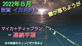 2022年8月 敦賀 イカメタル  マイカ＋ティップラン釣法で連続竿頭