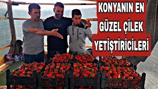 AİLECEK AKŞAM YEMEGİ ANNEMİ ZİYARET~KEDİLER SERÇE BÜLÜÇLERİ ~KÖYDE HAYAT VAR  BAHÇE ÇİLEKLERİ