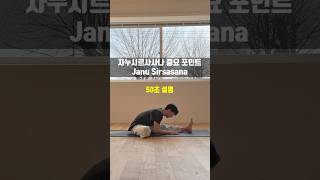 자누시르사사나 중요 포인트 50초 안에 설명 #원모어요가 #janusirsasana