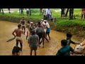 കാളപൂട്ട് kallapottu game kerala