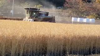 #rice #harvest #동진찰벼 #황금낱알 신나게 달린다~~ #국제콤바인KC100