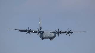 【急旋回して着陸するC 130🛫】横田基地 C-130 RW18着陸 2021 2/14