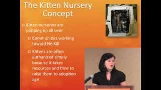 Saving More Kittens with Kitten University - conference recording