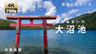 志賀高原　大沼池　　長野　絶景