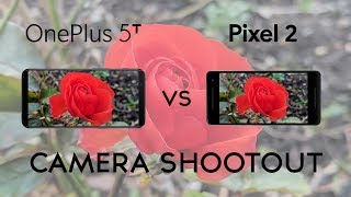 OnePlus 5T vs Pixel 2: Camera Shootout