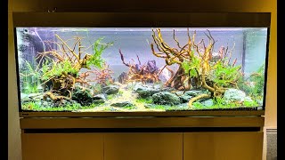 Aquascape Sunset Decor D Aquarium Par Laurent Garcia Aquarilis