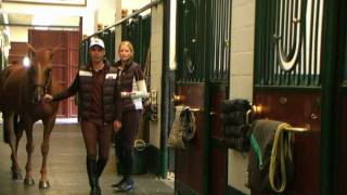 Stable Tour by Rodrigo Pessoa with Horseware Ireland