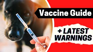 The 4 Vaccines to AVOID?! ⚠️ Veterinarian’s Recommendation