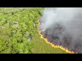 brazil firefighters battle raging wildfires in winter heatwave